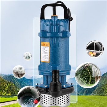 潜水泵220v水泵家用抽水机清水泵小型高扬程农用抽水泵T铸铁